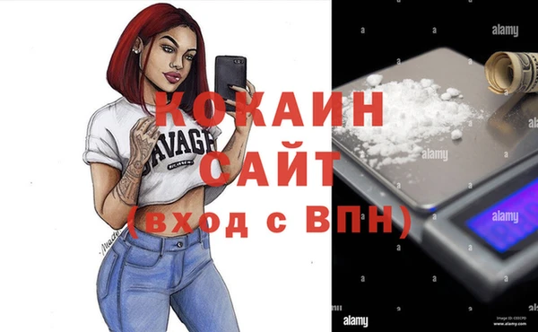 стафф Надым