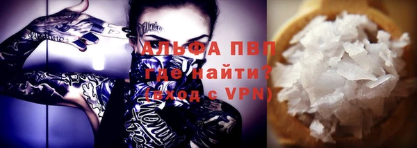 стафф Надым