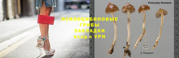 ГАЛЛЮЦИНОГЕННЫЕ ГРИБЫ Нефтегорск