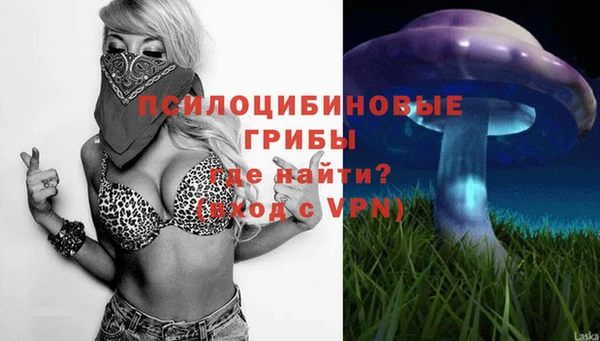 стафф Надым