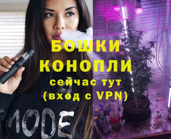 стафф Надым