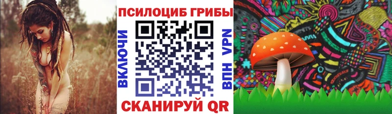 наркотики  Нерехта  Галлюциногенные грибы Cubensis 